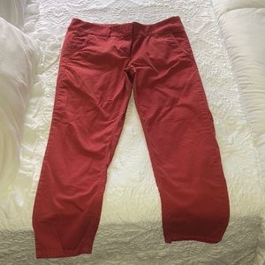 Loft burnt orange straight leg pants